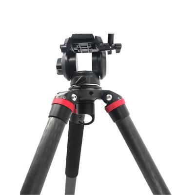 China PORTABLE Professional Carbon Fiber Tripod Stand With Ball Head For DSLR Digital Video Camera for sale