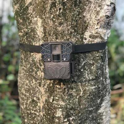 China LOW PRICE MINI TRAIL HUNTING CAMERA, 1080P HD 12MP Night Vision Outdoor Camera, 0.7s Trigger Speed ​​LS-187 for sale