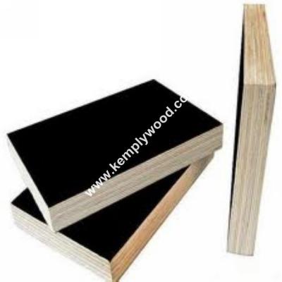 China Poplar core 18mm film faced plywood, black film faced plywood, black shuttering plywood for sale