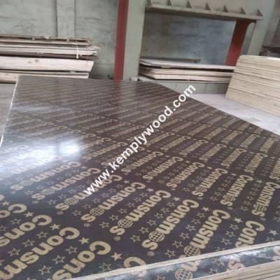 China 72 Hours boiled Phenolic Dynea Glue Poplar Film Faced Plywood for sale