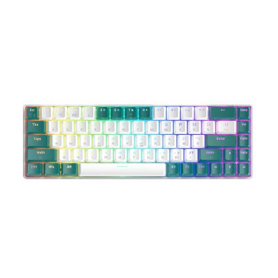 China ZIYOULANG T8 68 Keyboard RGB Gaming Notebook Desktop Russian Mechanical Non Cable Key Keyboard for sale