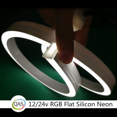 China IP68 12V RGB Decorative Lighting Flat Silicon Led Neon Lamp for sale