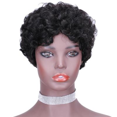 China Cheap Machine Made Pixie Curly Pixie Cut Human Hair Wigs Wholesale Curly Brazilian Curly Hair Wigs For Black Women for sale