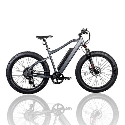 China New Design 26 Inch 350W 750W 1000W Moutain Tire Multifunctional Electric Bike Electric Bicycle for sale