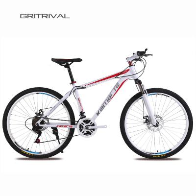 China Tour 27speed folding big frame 27inch 29ers mtb mountain bike mountain bike for men women ladies for sale