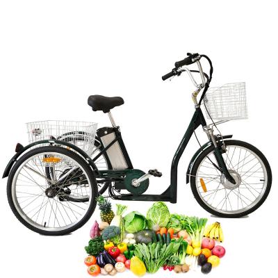 China Ride China long rang 500 watt 250w 48v 3 wheel three 20