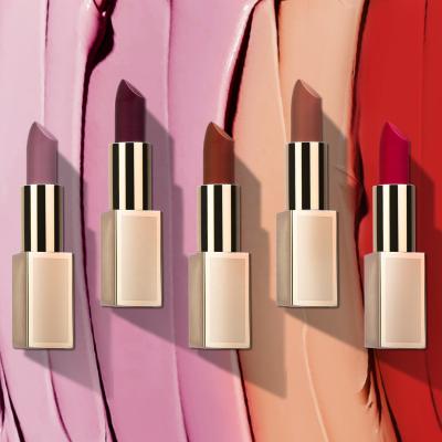 China Luxury Long Lasting Lipstick Kit Low Moq Batom Matte Vegan Liquid Cream Lipstick Wholesale Waterproof Matte Custom Logo Private Label for sale