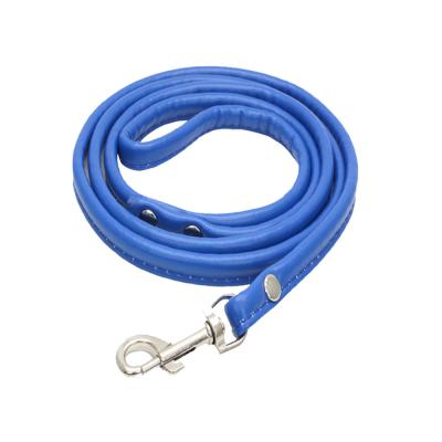 China Hello China Manufacture Padded Selected Pet Leash Dropshipping Ready To Ship Lightweight Portable Dog Leash for sale