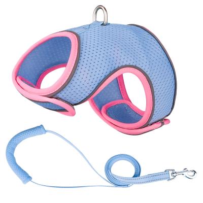 China Lights Hello Dropshipping High Quality Manufacturer Selected Of Stain Easy To Wear And Clean Nylon Pet Chest Strap for sale