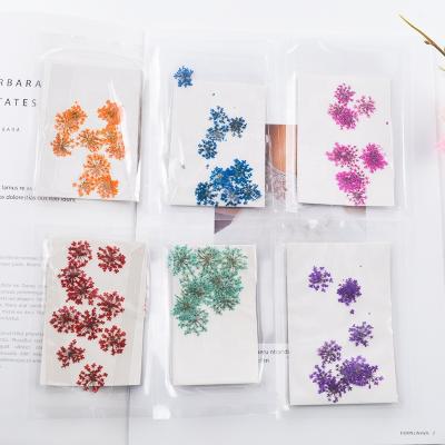 China Real Environmental Lace Dried Flowers Natural Pressed Flowers For Epoxy Resin Nail Handmade Craft for sale