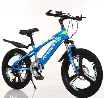 China The ride on mountain bike trend style carrier frame from Toy Youth is suitable for children aged 8-15. for sale