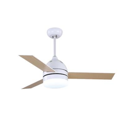 China Simple/Modern Contemporary White Ceiling Fan Lamps with 3 Plywood Blades Lighting Groups Ceiling Light Fan for sale