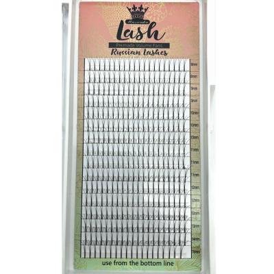 China Wholesale Natural China 3D 4D 5D 6D Long Eyelash Extension Pre Fanned Lashes for sale