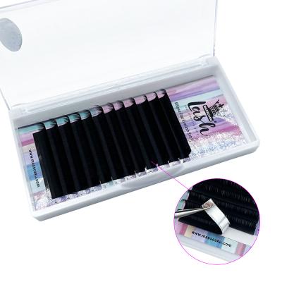 China Long 0.15 C LOOP Premium 8-15mm Natural Matte Black Flat Ellipse Eyelash Extensions for sale