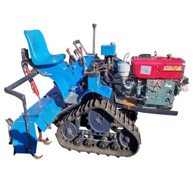 China Grows Hot Sale Agricultural Hand Crawler Micro Diesel Rotary Cultivator for sale