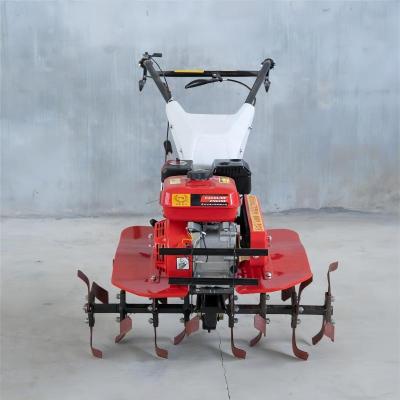 China Mini Farms 2 Wheel Drive Gasoline Power Small Tiller Agricultural Cultivator 7hp 7.5hp 9hp For Rotary Plowing for sale