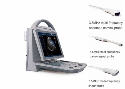 China Tragbarer Schwangerschafts-Ultraschall-Scanner mit Abdominal- konvexen Transvaginal Wandlern zu verkaufen