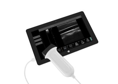 China Tragbarer Ultraschall-Scanner USB-Ultraschall-Sonden-Digital mit Sonde der Frequenz 2~15MHz zu verkaufen