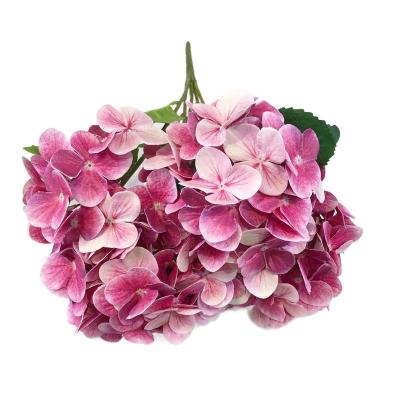 China Home.Party.Restaurant.Bar.Hotel.Wedding Chermy Head Flowers 5 Artificial White Hydrangea Wedding Decorative Flowers for sale