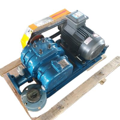 China High Pressure Water Treatment Aeration DSR200 Water Treatment Aeration Roots Blower for sale