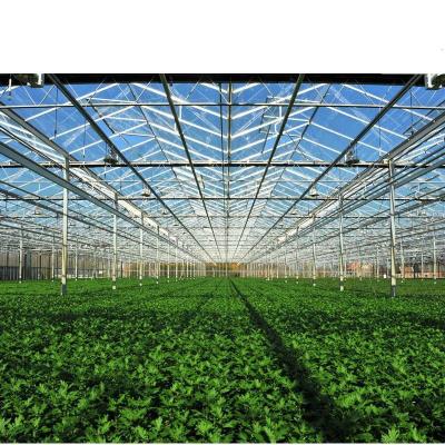 China Greenhouses Vegetable Design Steel Tunnel Greenhouse In China Single-span Agricultural for sale