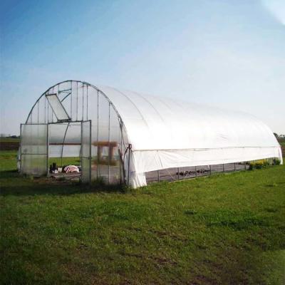 China Film Shinejoy  GH017 Plastic Growing Tunnels  Hoop Garden Agricultural Tunnel Greenhouse for sale