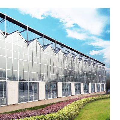 China Structure Steel Metal Frame Multi Span Greenhouse Cheap Green House Agricultural Greenhouse for sale