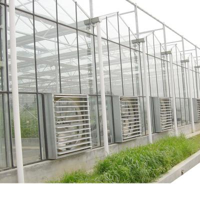 China Low Price Multispan Pc Sheet Polycarbonate Agricultural Greenhouse With Complete Hydroponic Growing Systems for sale