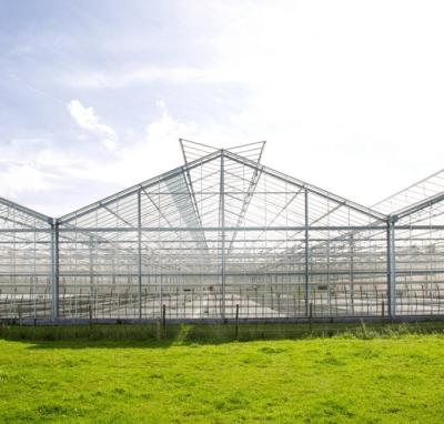 China Industrial Pipe Agricultural Single Span Tunnel Blackout Film Nursery Hoops Steel Structure Greenhouse for sale