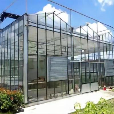 China Cheap Intelligent Agriculture Multi Span Greenhouse Glass Greenhouse Hydroponic Greenhouse for sale