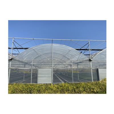 China Customized Metal Frame Multi Span Greenhouse Planting Greenhouse For Flowers Plant for sale