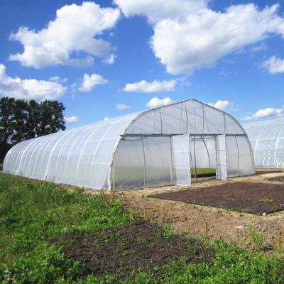 China Galvanized Steel Frame Single Span Greenhouse For Agriculture Low Cost Tunnel Greenhouse For Flowers Plant for sale