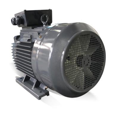 China Factory Direct Sales Latest Design YE3 Series 380V Three Phase Electric AC Motor for sale