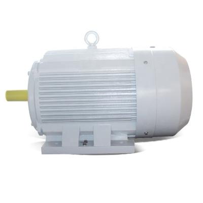 China Fast Delivery IE4 Totally Enclosed Three Phase Induction Electric Motor Manufacturer AC Motor for sale