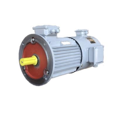 China Widely Used Customized 7.5Kw 3000Rpm Ac Motor Frequency Variable Speed ​​Regulation High Efficiency Motor for sale