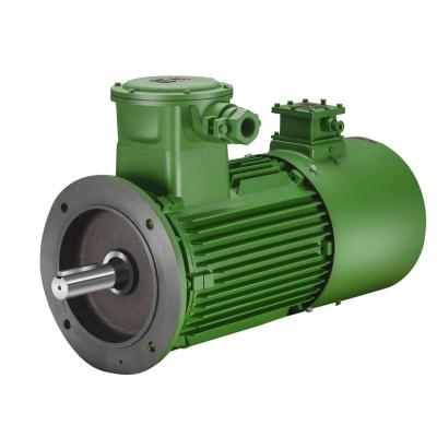 China High Efficiency AC Induction Motor Small Explosion Proof Induction Motor High Power for sale