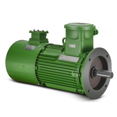 China Explosion-proof three-phase induction AC motor with frequency converter speed modulation three-phase induction motor for sale