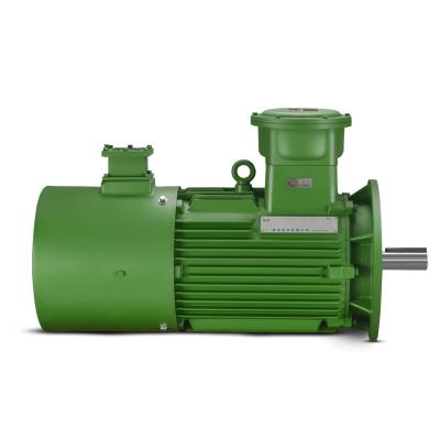 China Explosion Proof Made In China Frequency-variable Three Phase Asynchronous Motors 3000rpm-500rpm for sale