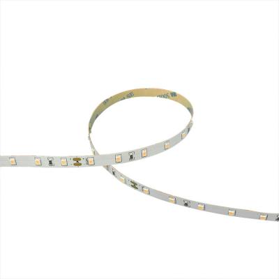 China LANDSCAPE Factory Direct Sales One Bin Only DC12V 24V 2835SMD Dimmable LED Strip for sale