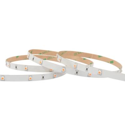 China LANDSCAPE Customized SMD3528 Dimmable Led Flexible Strip 30LEDS 12V 24V LED Strip Light for sale