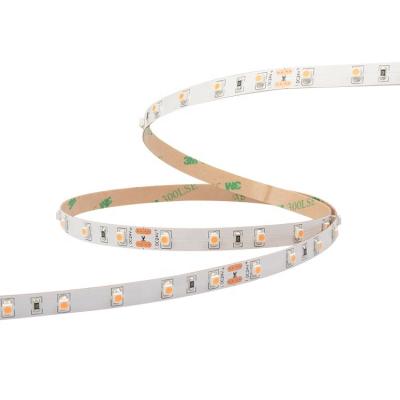 China Best Quality LANDSCAPE LED Strip 3528SMD 60LEDs Single Color DC12V 24V LED Strip for sale