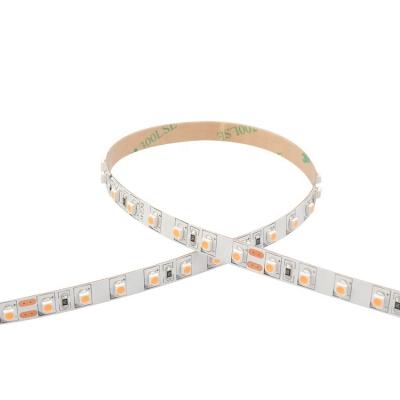 China Good Quality LANDSCAPE Factory Customized Low Voltage 96LEDs DC12V 24V 3528SMD LED Strip for sale