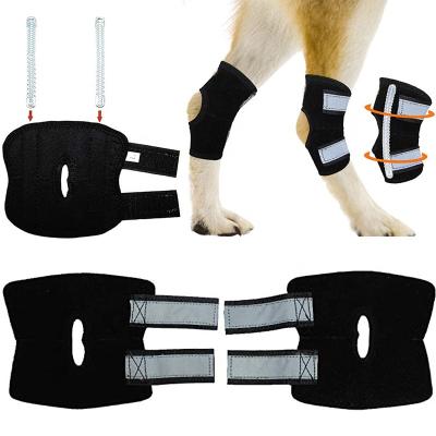 China Personalized Canine Dog Knee Brace Leg Hock Support Heal Joint Wrap Sleeve For Hind Pet Brace Heals Dog Canine Knee Brace for sale