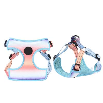 China Custom Dog Accessories Sublimation Adjustable Dog Harness Set Bravecto Custom Pet Supplies 2021 Dog Chest Harness Collar And Leash for sale