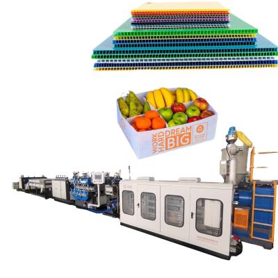 China Plastic Corrugated Hollow Grid Sheet Sheet Extrusion Equipment Automatic Machine/PP Sheet Manufacturing Equipment for sale