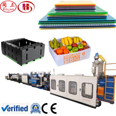 China PP sheet pipe sheet extruder / fish box making machine / PP corrugated plastic sheet machine for sale