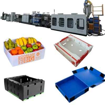 China Corrugated sheet pp box production line/plastic box production line/PP corrugated packing case machine for sale