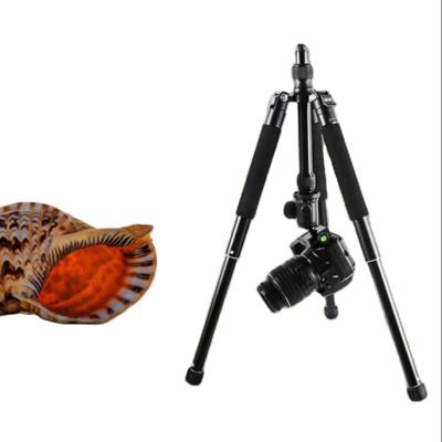 China Factory Wholesale PORTABLE Dual Use Tripod For Tripod Aluminum Support Tube Slr Camera Legs Monopod Demountable Conversion for sale