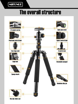 China PORTABLE 2-In-1 Camera Tripod Monopod With 360 Degree Rotatable Center Column And Ball Head Qr Plate-75.2 Inches Aluminum Alloy 5 Sectio for sale