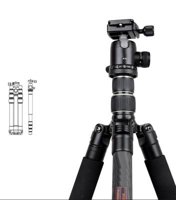 China PORTABLE 100% High-Grade Carbon Fiber Tripod Ball Head Set Photographic Detachable Monopod For Digital Video Camera for sale